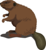 Beaver Standing Clip Art